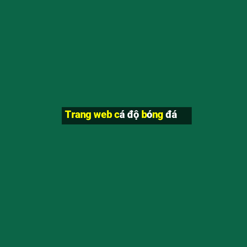 Trang web cá độ bóng đá