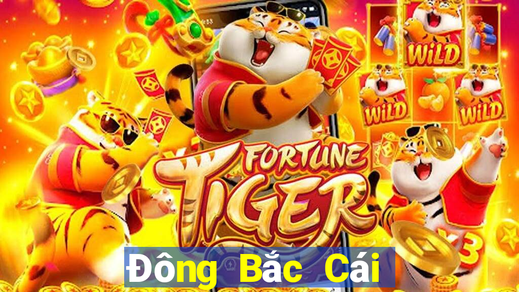 Đông Bắc Cái Pa c