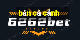 bán cá cảnh