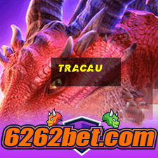 tracau