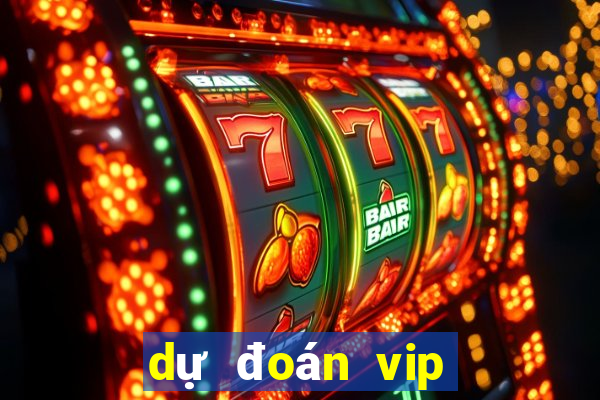 dự đoán vip miền bắc