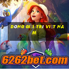 Dòng giải trí việt nam