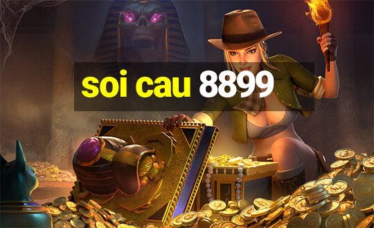 soi cau 8899