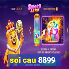 soi cau 8899