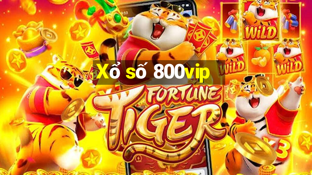 Xổ số 800vip