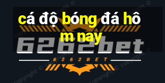 cá độ bóng đá hôm nay