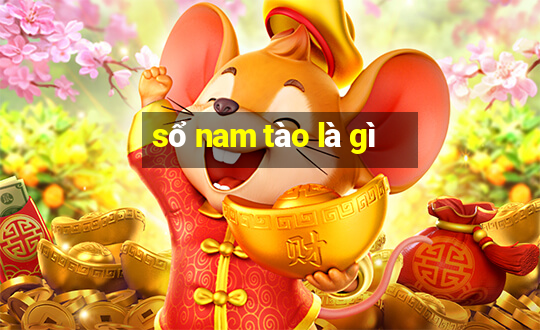 sổ nam tào là gì