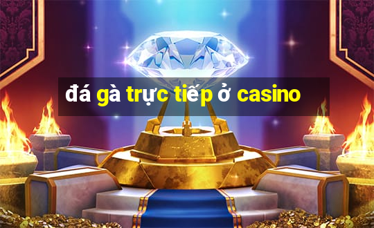 đá gà trực tiếp ở casino