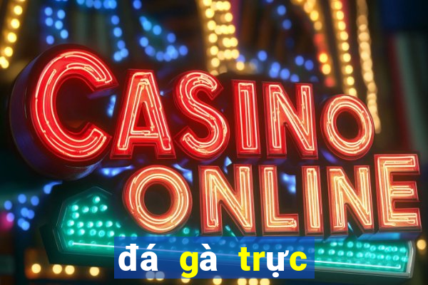 đá gà trực tiếp ở casino