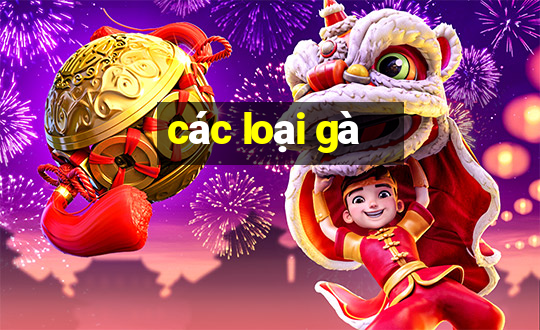 các loại gà