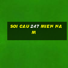 soi cau 247 mien nam