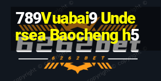 789Vuabai9 Undersea Baocheng h5