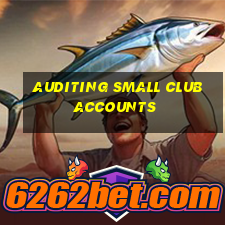 auditing small club accounts