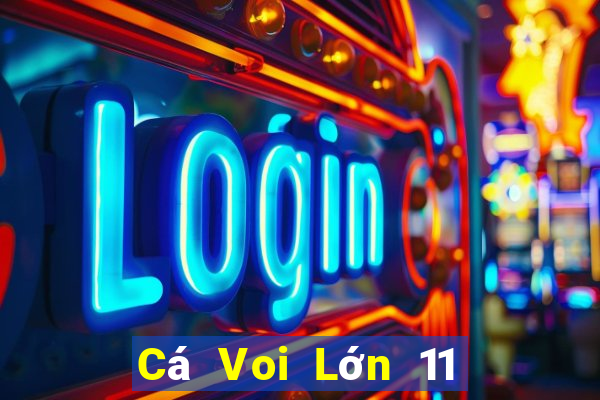 Cá Voi Lớn 11 Chọn Năm