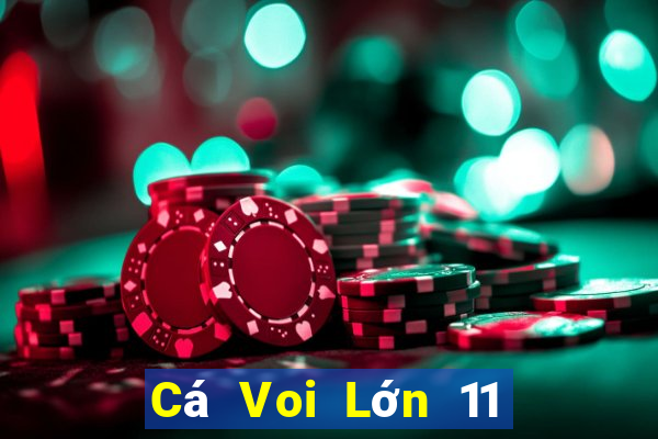 Cá Voi Lớn 11 Chọn Năm