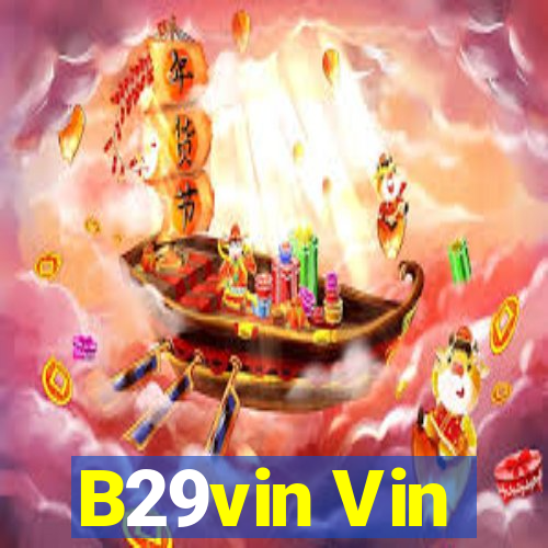 B29vin Vin