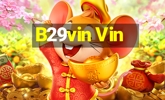 B29vin Vin