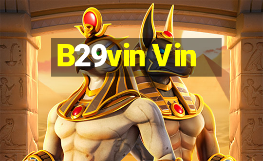 B29vin Vin