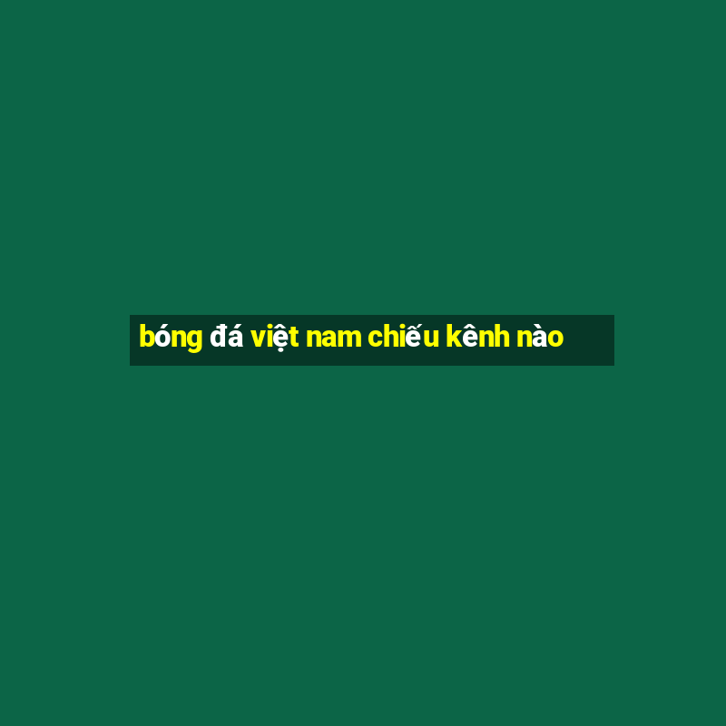 bóng đá việt nam chiếu kênh nào