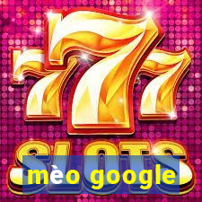 mèo google