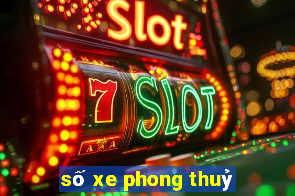 số xe phong thuỷ