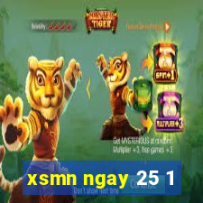 xsmn ngay 25 1