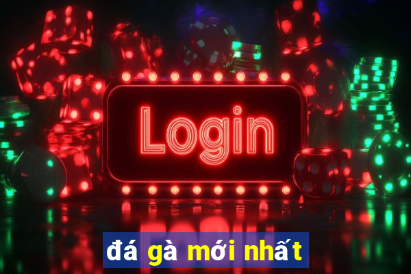 đá gà mới nhất