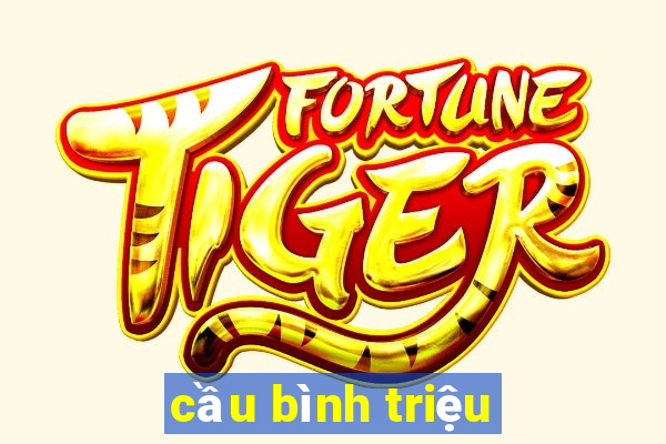 cầu bình triệu