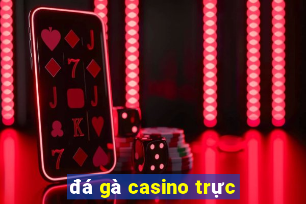 đá gà casino trực