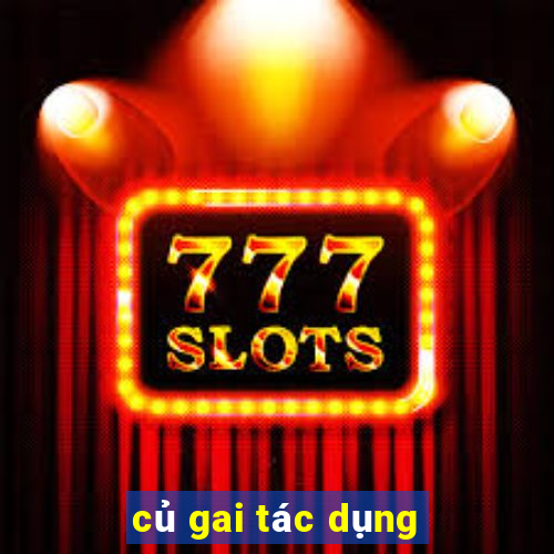 củ gai tác dụng