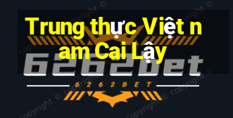 Trung thực Việt nam Cai Lậy