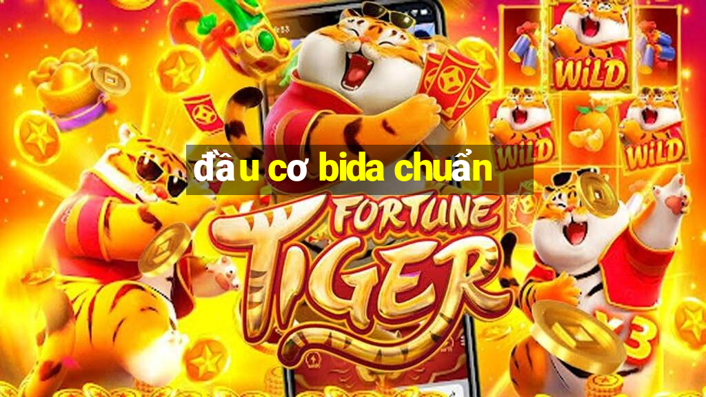 đầu cơ bida chuẩn