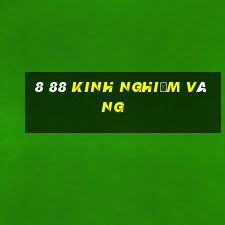 8 88 Kinh nghiệm vàng