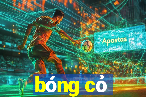 bóng cỏ