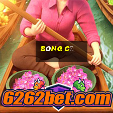 bóng cỏ