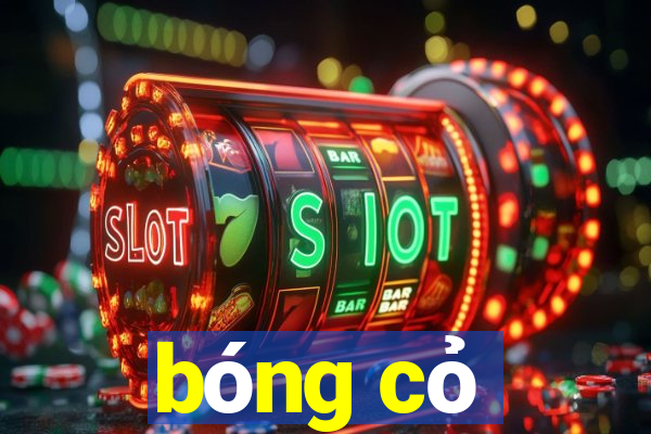 bóng cỏ