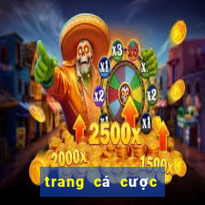 trang cá cược bóng đá dkbl