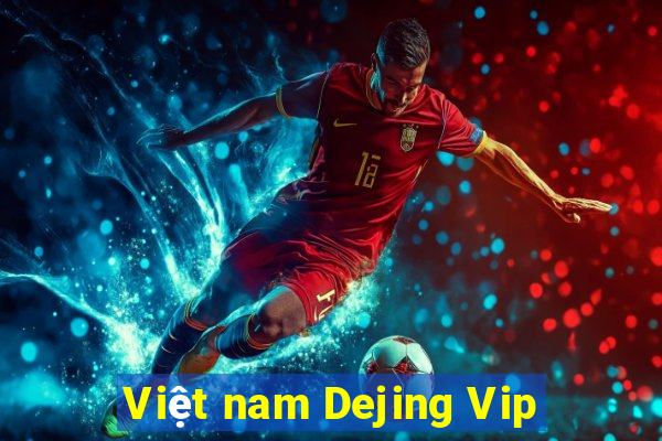 Việt nam Dejing Vip