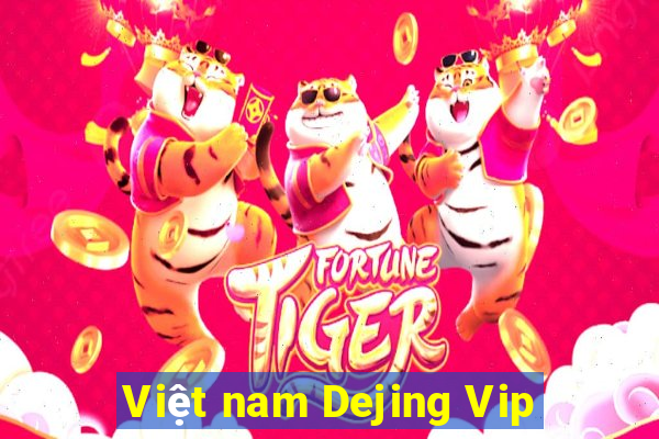 Việt nam Dejing Vip