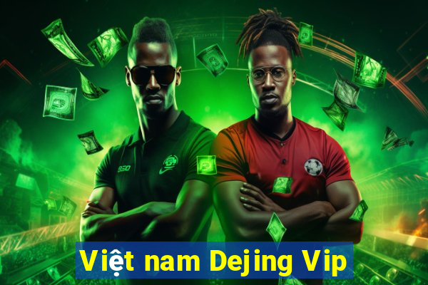 Việt nam Dejing Vip