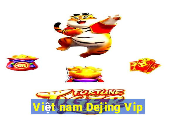 Việt nam Dejing Vip