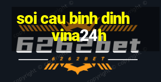 soi cau binh dinh vina24h