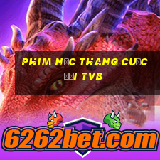 phim nấc thang cuộc đời tvb