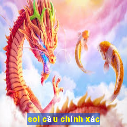 soi cau chinh xac