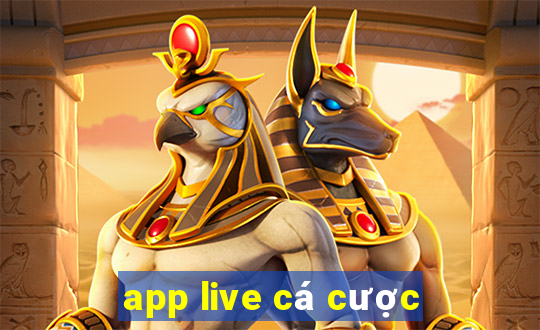 app live cá cược