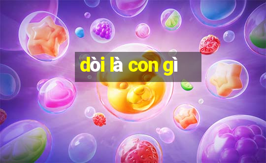 dòi là con gì