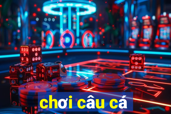 chơi câu cá