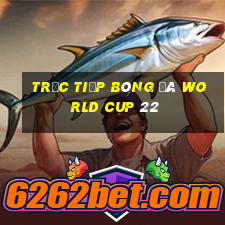 trực tiếp bóng đá world cup 22