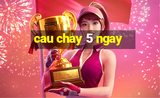 cau chay 5 ngay