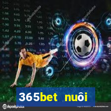 365bet nuôi dưỡng Châu Á